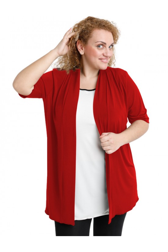 A20-140 Ζακέτα κλασική - Μπορντώ A20-140 Ζακέτα κλασική - Μπορντώ